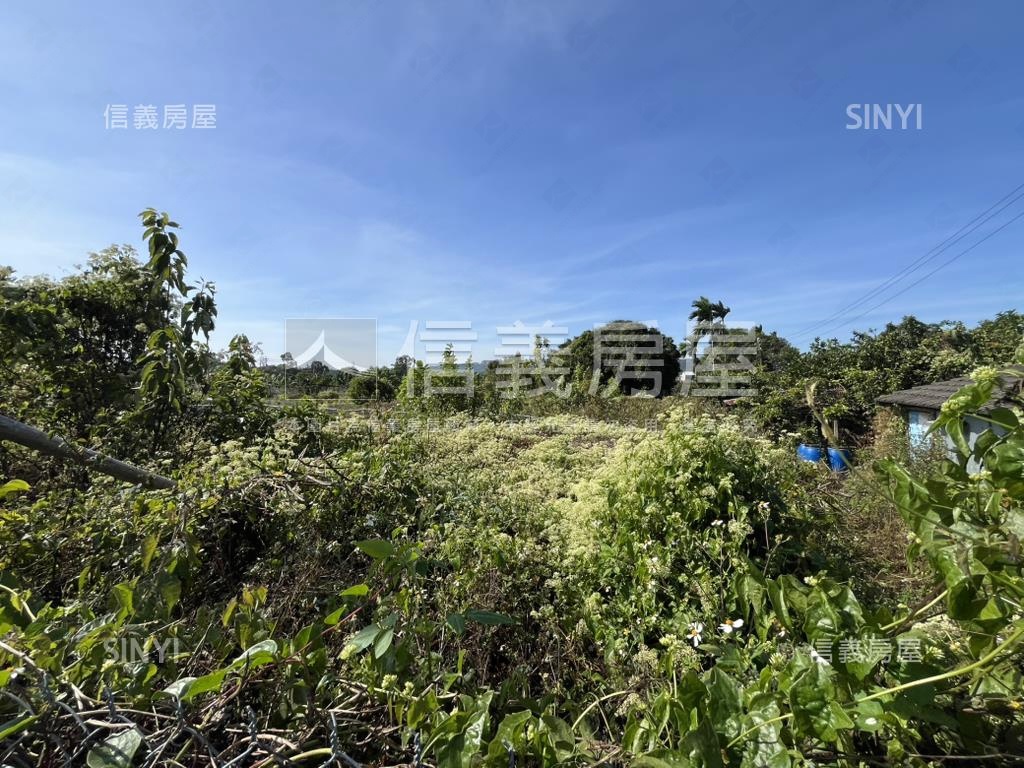 新社國小旁都市計畫土地房屋室內格局與周邊環境