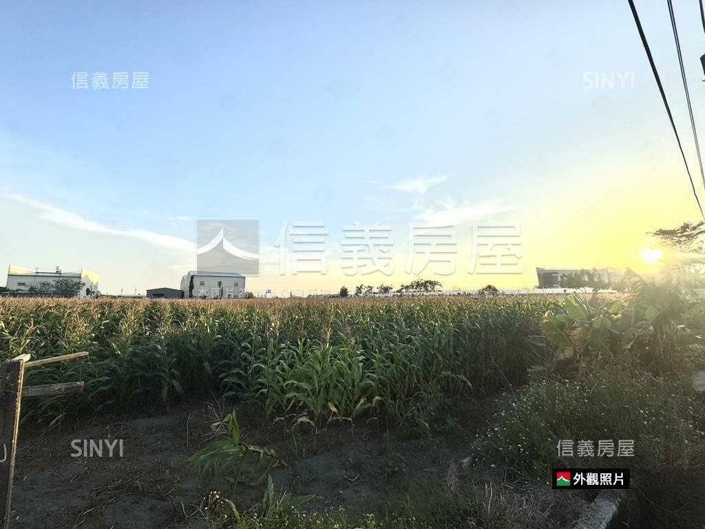 安定都內方正大農地房屋室內格局與周邊環境