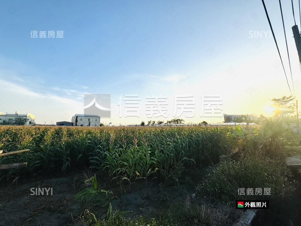 安定都內方正大農地房屋室內格局與周邊環境