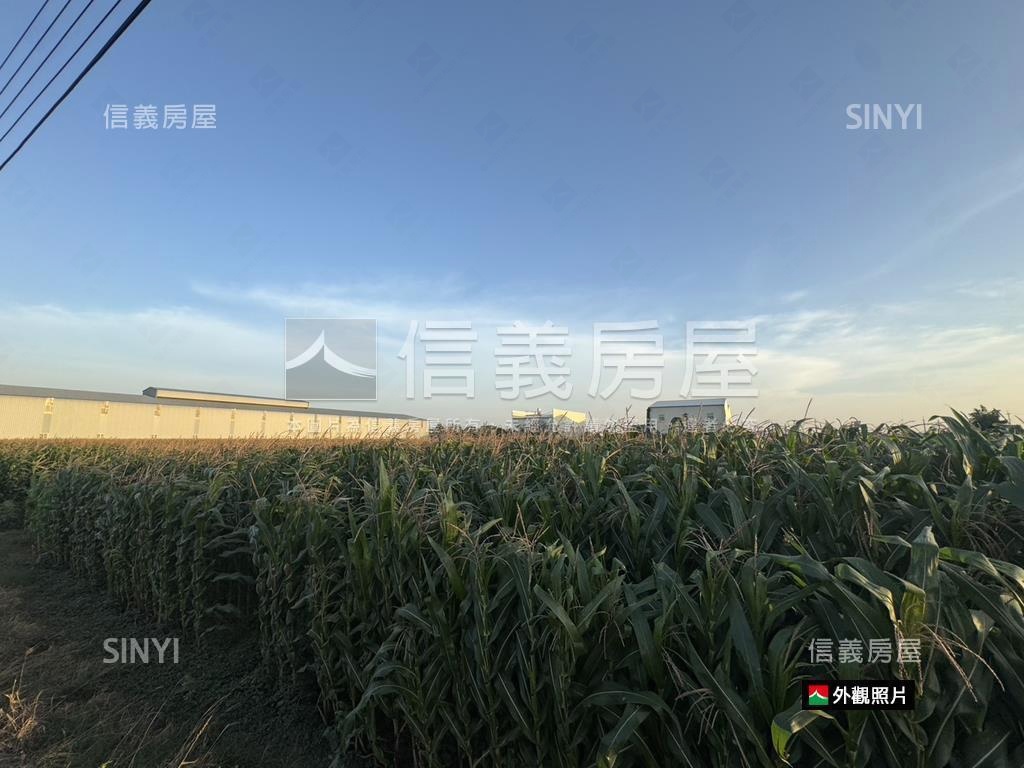 安定都內方正大農地房屋室內格局與周邊環境