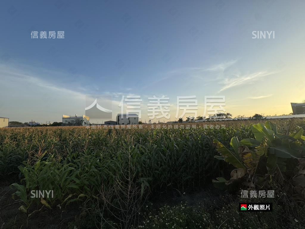 安定都內方正大農地房屋室內格局與周邊環境