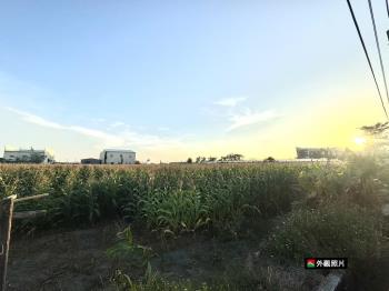 安定都內方正大農地