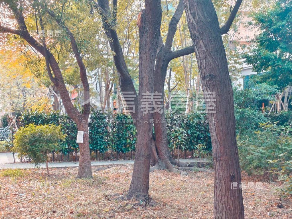 浩瀚森之道美樓店房屋室內格局與周邊環境