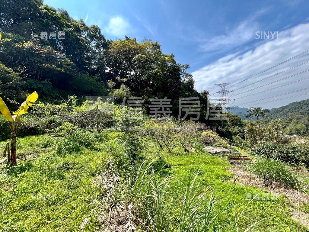石碇優質土地房屋室內格局與周邊環境