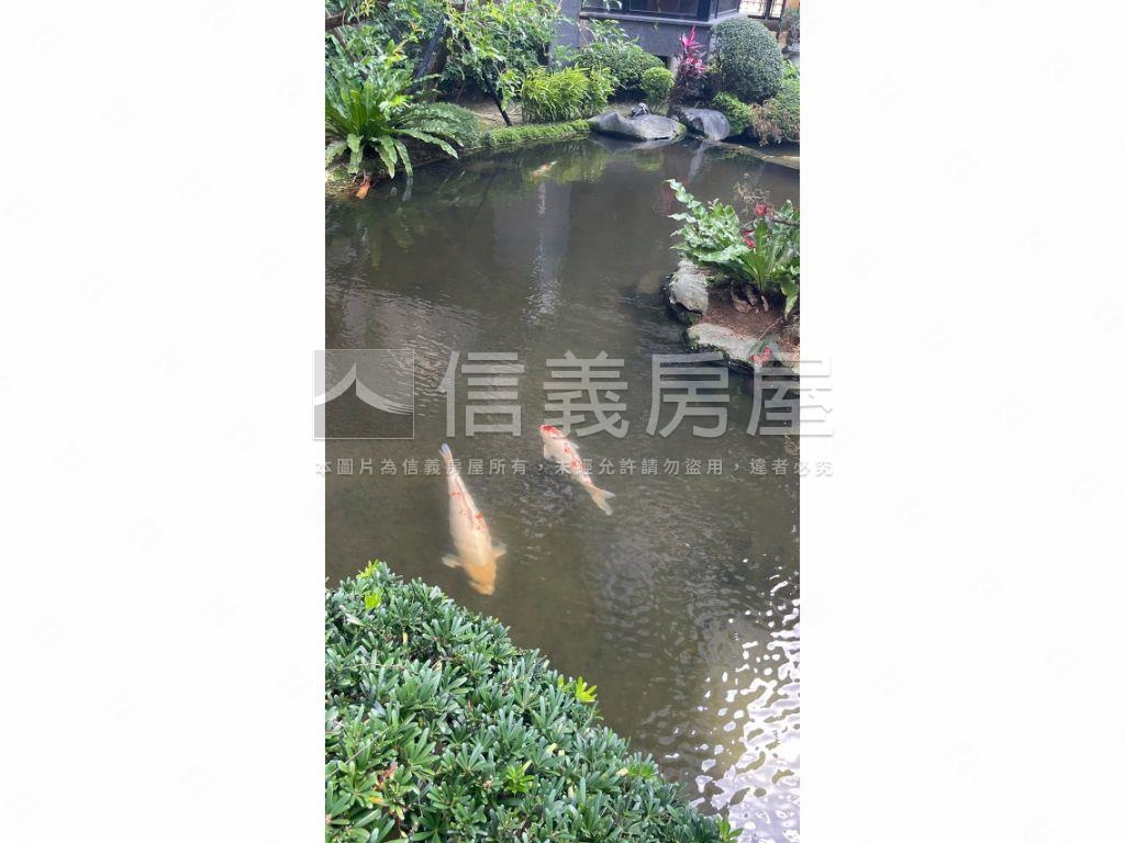 瑞安新光傑士堡稀有戶釋出房屋室內格局與周邊環境