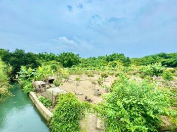 后里近鐵馬道農地2