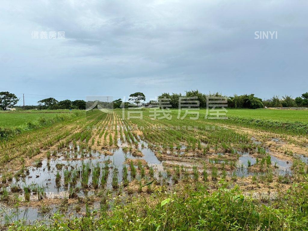 湖口漂亮農地房屋室內格局與周邊環境