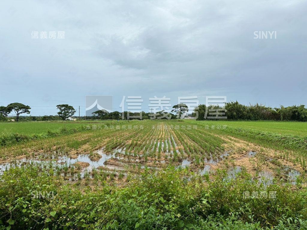 湖口漂亮農地房屋室內格局與周邊環境