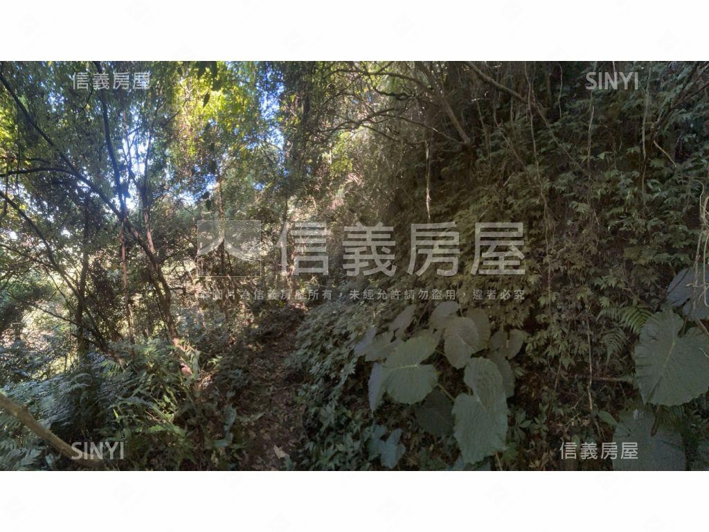 龍潭步道土地房屋室內格局與周邊環境