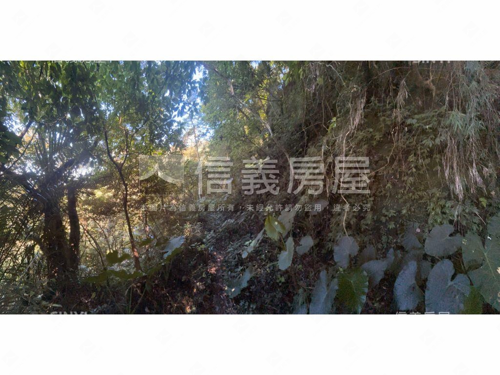 龍潭步道土地房屋室內格局與周邊環境