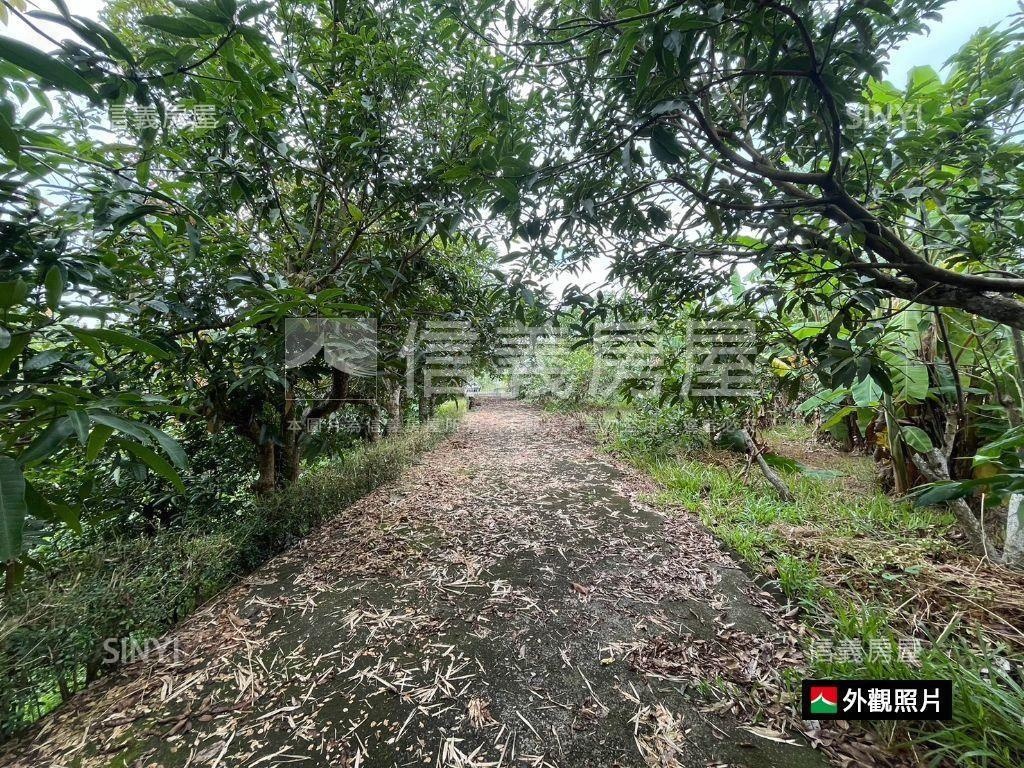 大內區退休宅‧開心農場房屋室內格局與周邊環境