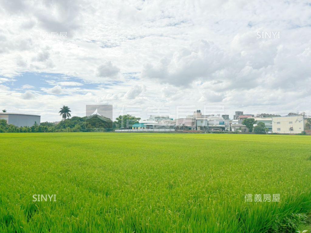 近環河步道德金天堡別墅房屋室內格局與周邊環境