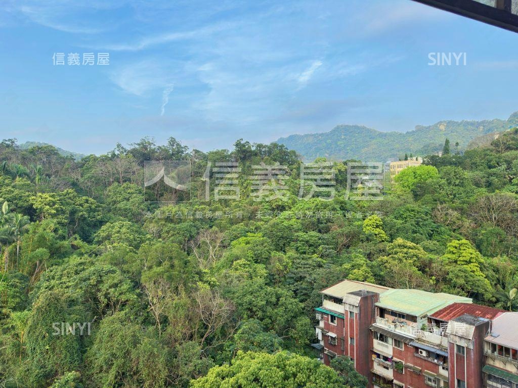 高樓遠景｜雙層大宅房屋室內格局與周邊環境