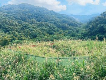 龜山稀有坪數土地建照可參