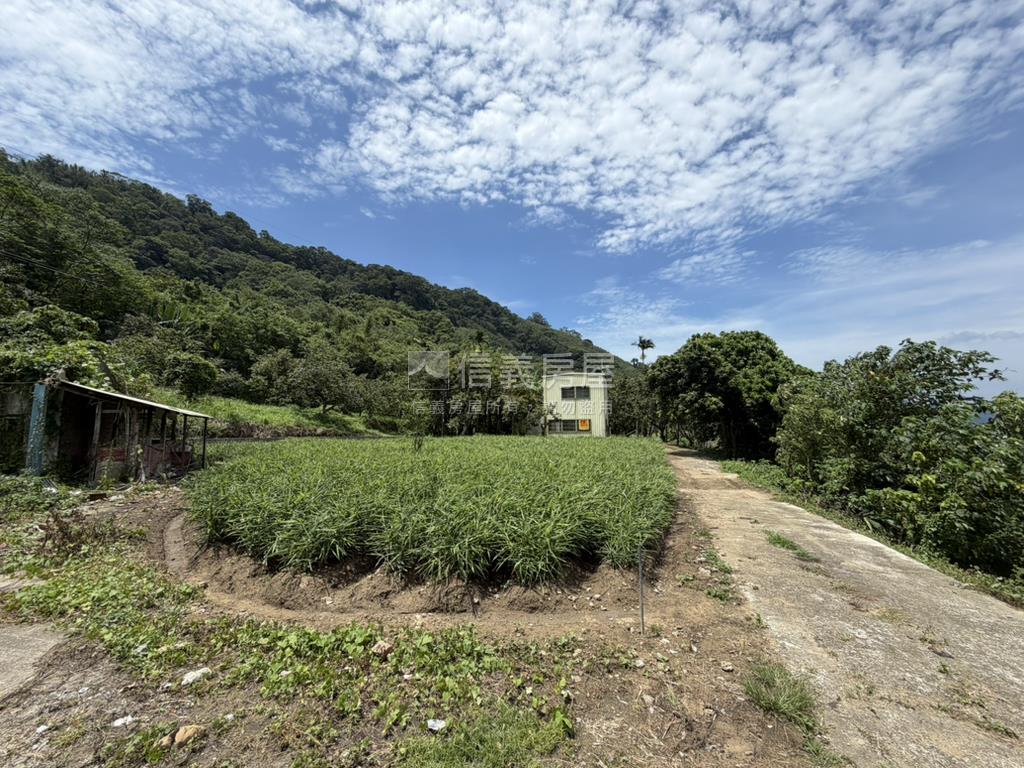 苗栗公館鄉丙建＋農地房屋室內格局與周邊環境