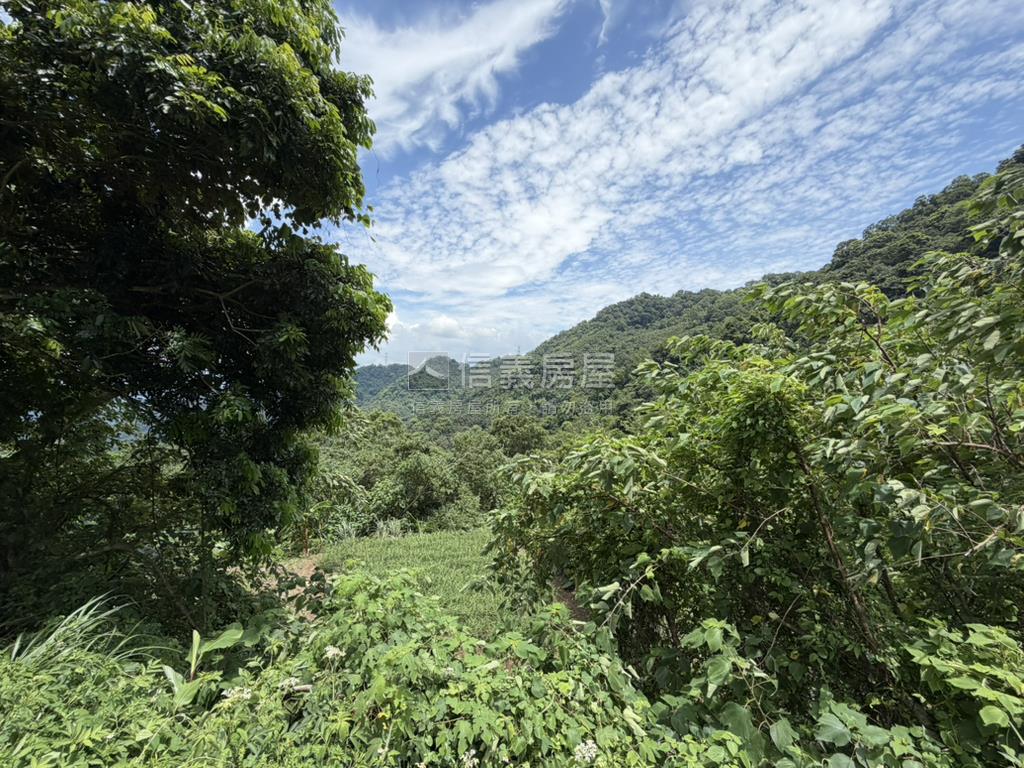 苗栗公館鄉丙建＋農地房屋室內格局與周邊環境