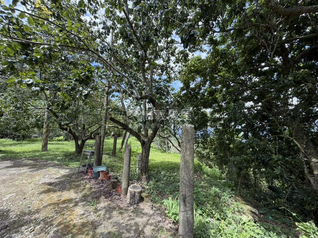 苗栗公館鄉丙建＋農地房屋室內格局與周邊環境
