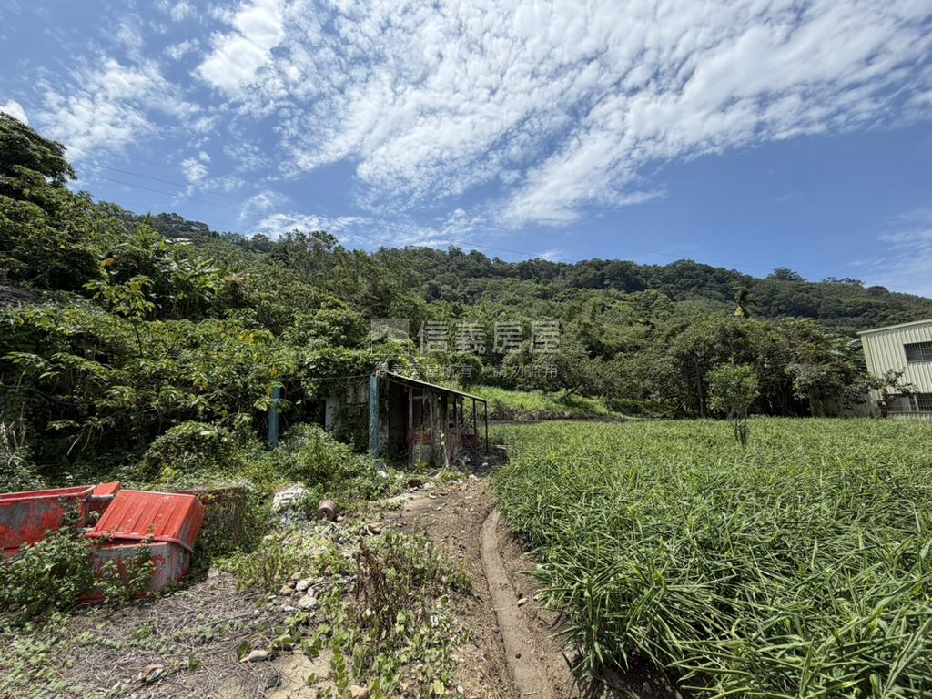 苗栗公館鄉丙建＋農地房屋室內格局與周邊環境