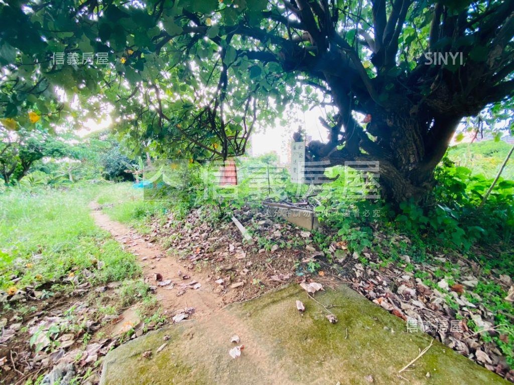 天生國小旁土地二房屋室內格局與周邊環境
