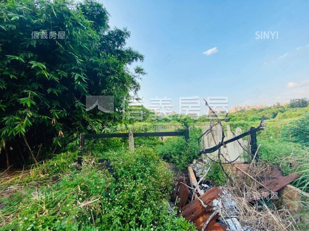 天生國小旁土地二房屋室內格局與周邊環境