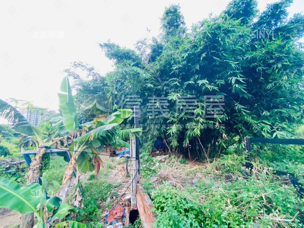 天生國小旁土地二房屋室內格局與周邊環境