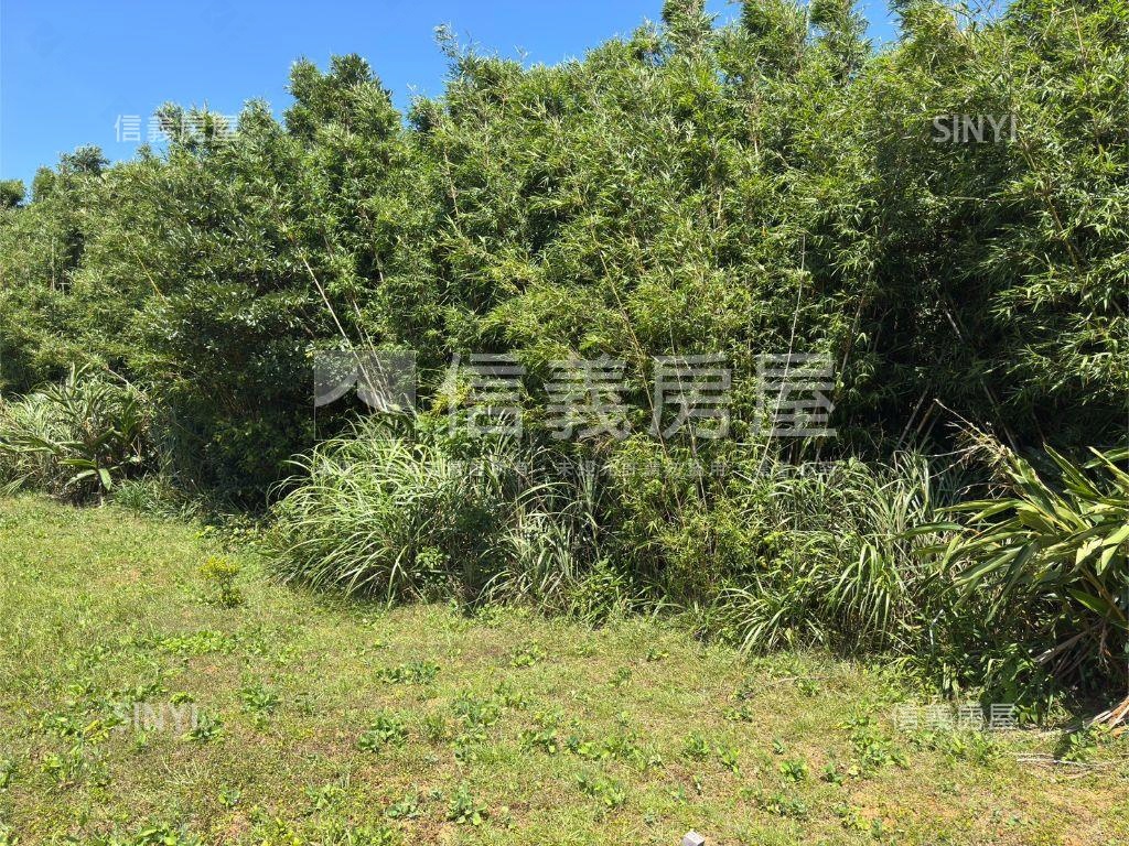 有山則靈清淨農地房屋室內格局與周邊環境
