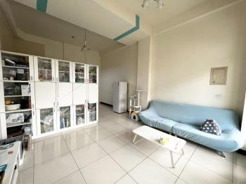 陸橋南路優質店墅