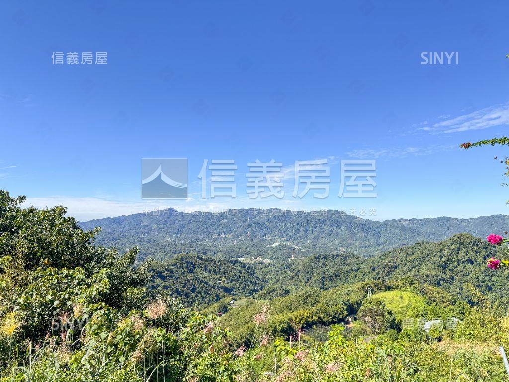 苗栗大湖夏綠地房屋室內格局與周邊環境