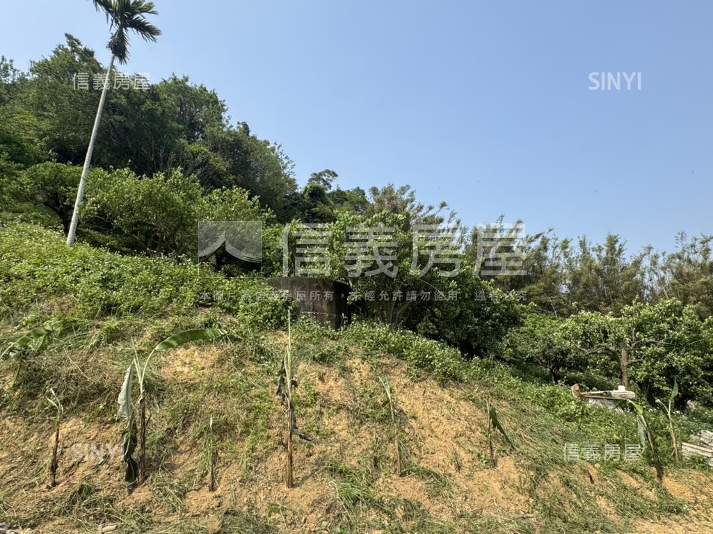 山嵐輕繞悠然靜居天地Ｂ房屋室內格局與周邊環境