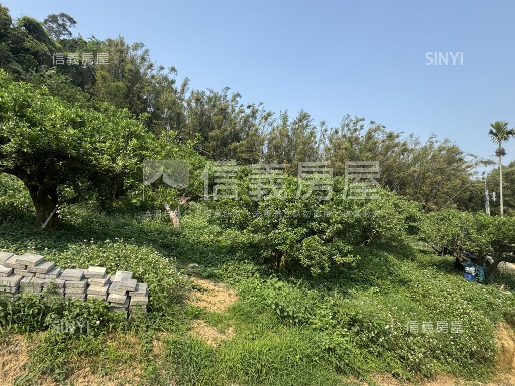 山嵐輕繞悠然靜居天地Ｂ房屋室內格局與周邊環境