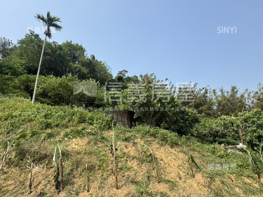 山嵐輕繞悠然靜居天地Ｂ房屋室內格局與周邊環境