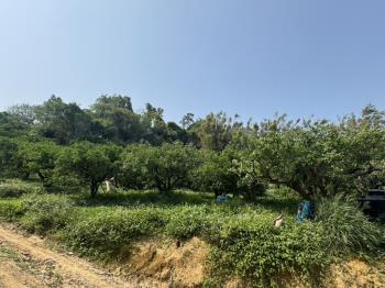 山嵐輕繞悠然靜居天地Ｂ