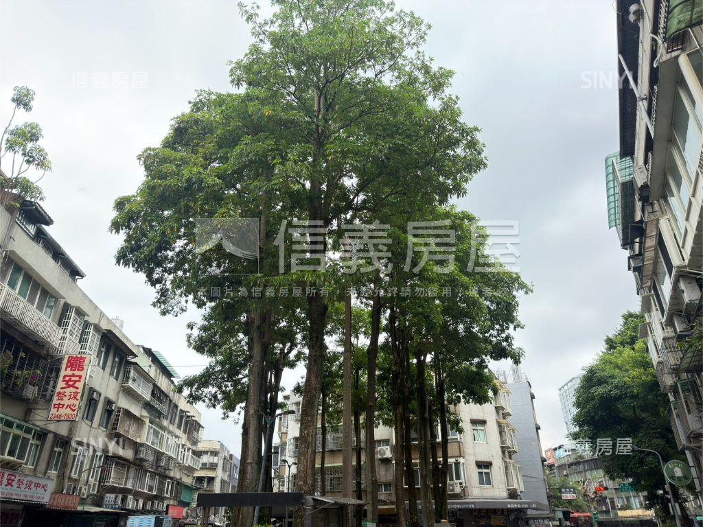 大松山三房公園美景成家房屋室內格局與周邊環境