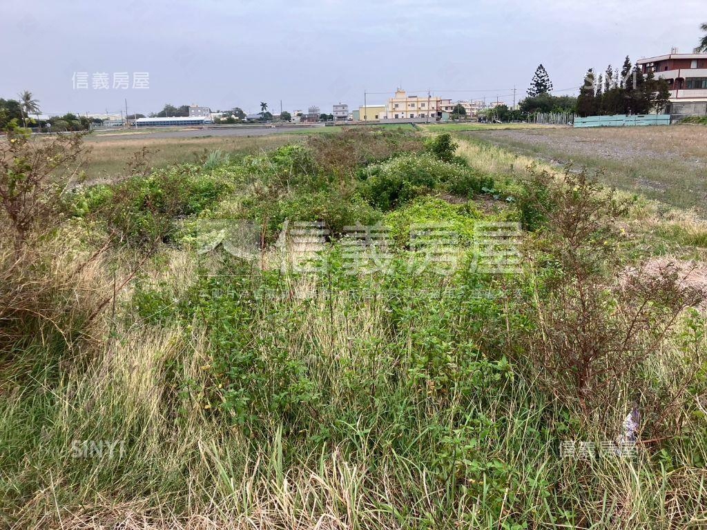 秀水的開心農場！方正農地房屋室內格局與周邊環境