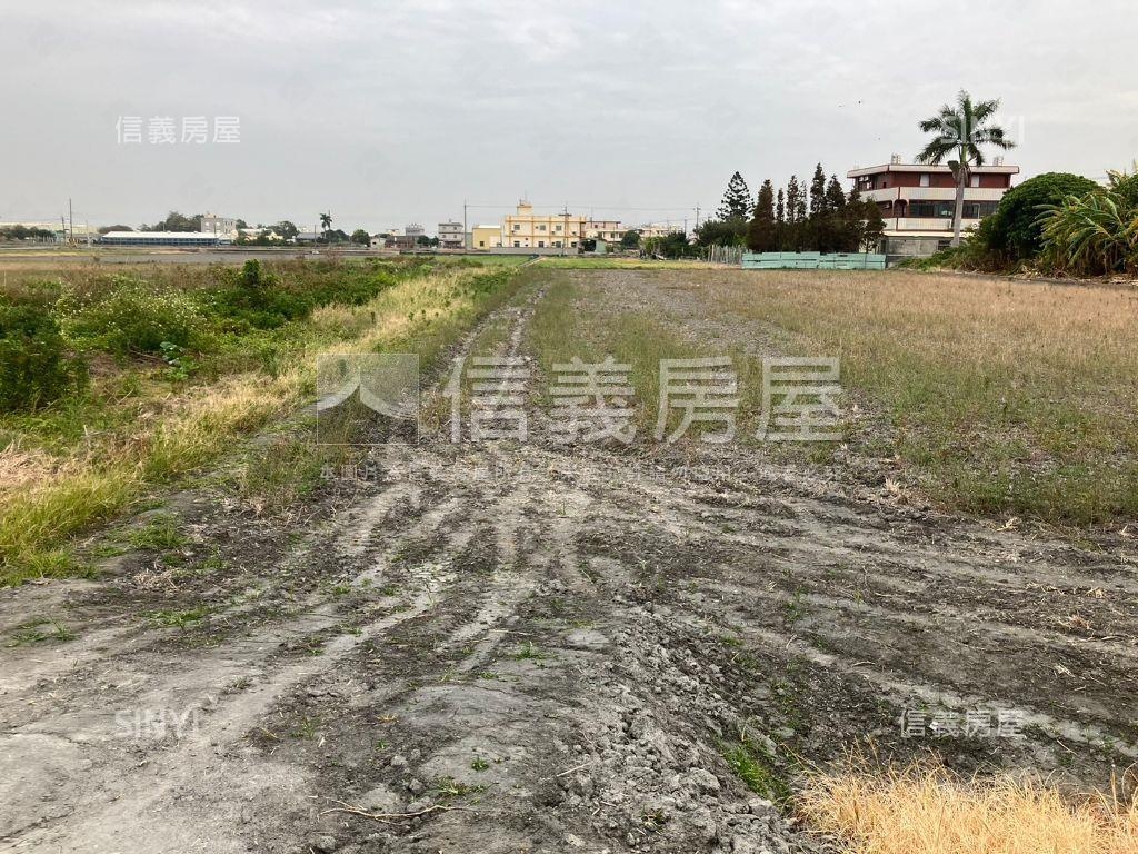 秀水的開心農場！方正農地房屋室內格局與周邊環境