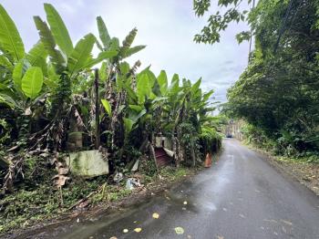 【內湖土地γ】