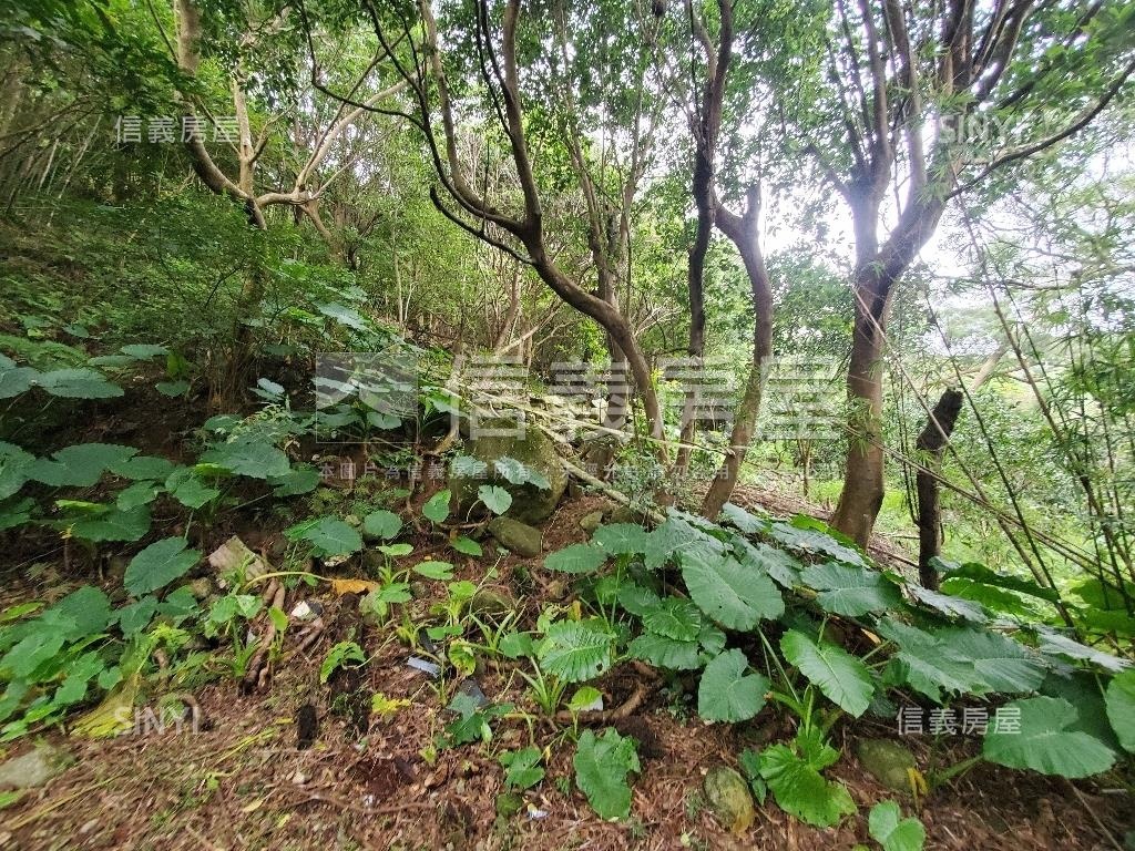 陽明山千坪土地別墅房屋室內格局與周邊環境