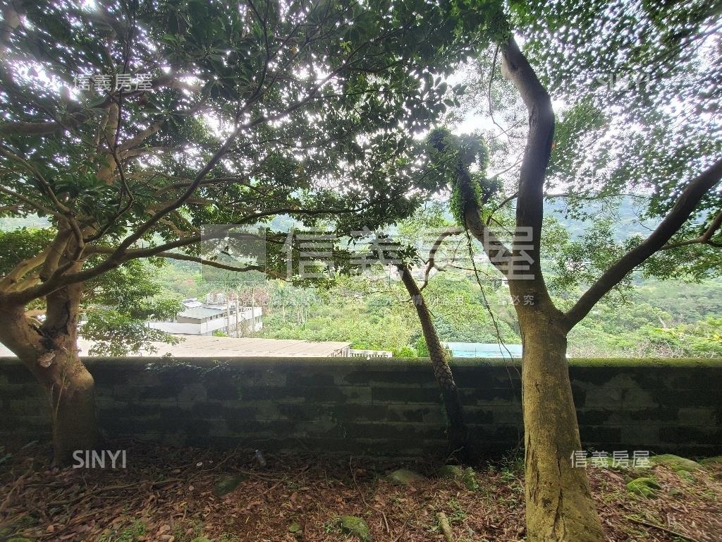 陽明山千坪土地別墅房屋室內格局與周邊環境