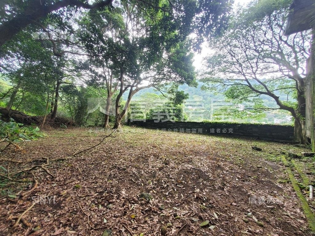 陽明山千坪土地別墅房屋室內格局與周邊環境