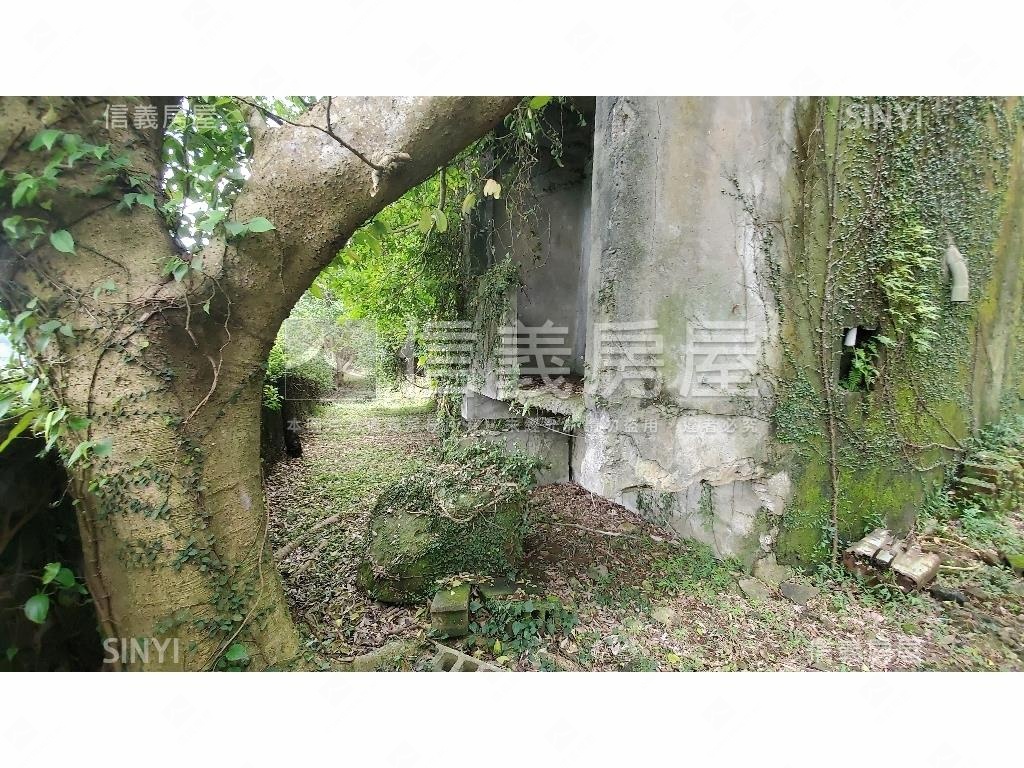 陽明山千坪土地別墅房屋室內格局與周邊環境