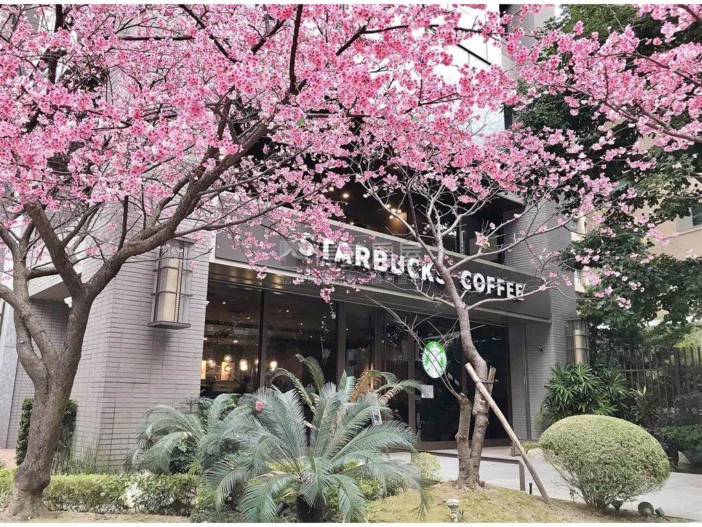 萬家福正２房❁樹景美屋❁房屋室內格局與周邊環境