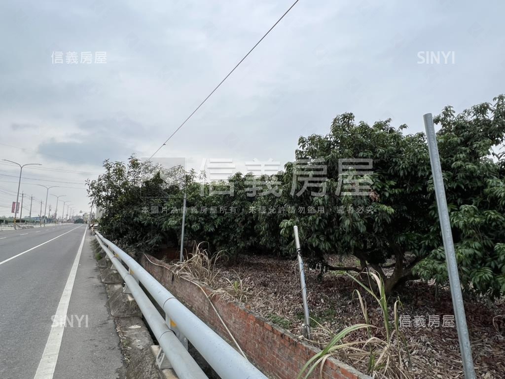 大樹臨路農地房屋室內格局與周邊環境