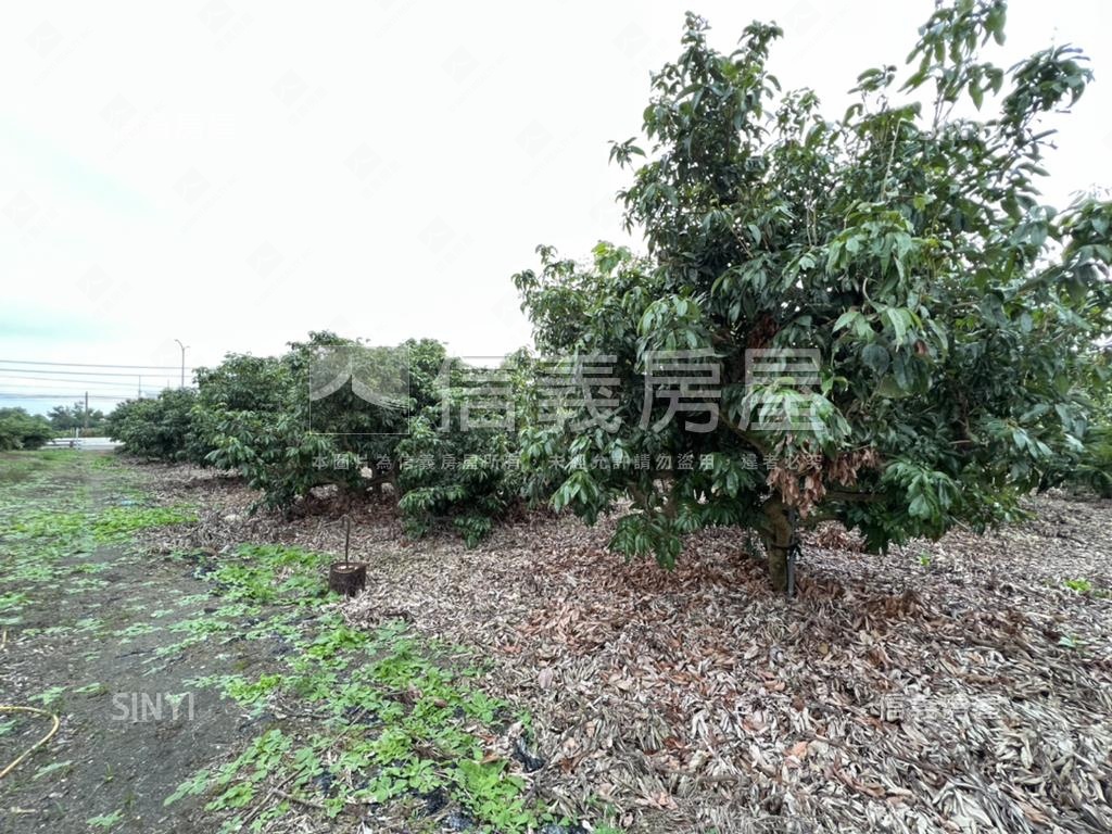 大樹臨路農地房屋室內格局與周邊環境