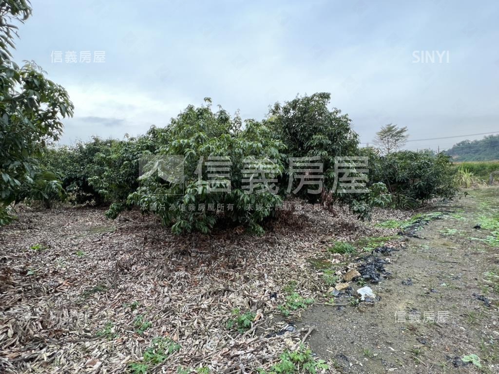 大樹臨路農地房屋室內格局與周邊環境