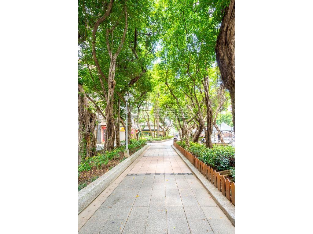雙金華新生國小多功能壹樓房屋室內格局與周邊環境