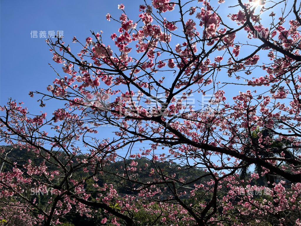 花園新城青森雅居房屋室內格局與周邊環境