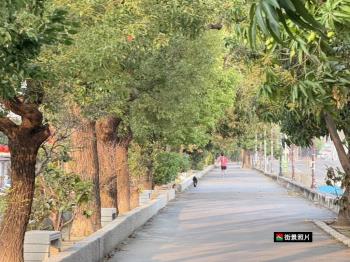 近北區面寬透天