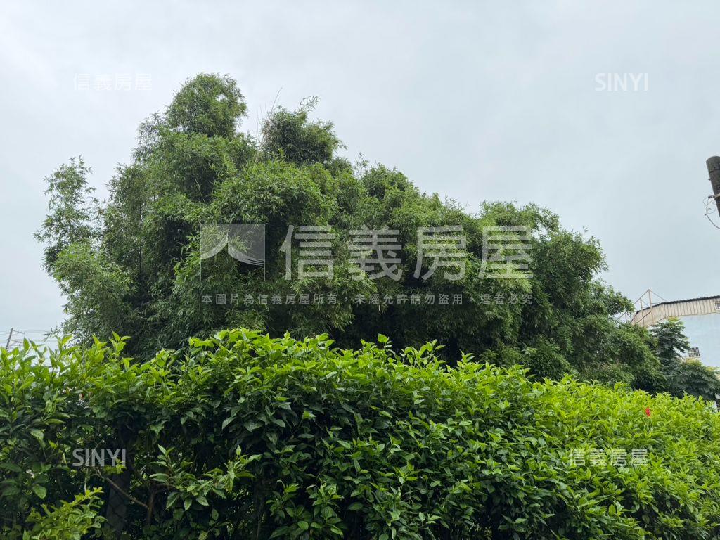 忠愛莊低總價農地稀有釋出房屋室內格局與周邊環境