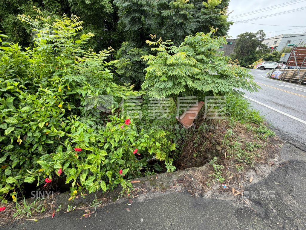忠愛莊低總價農地稀有釋出房屋室內格局與周邊環境