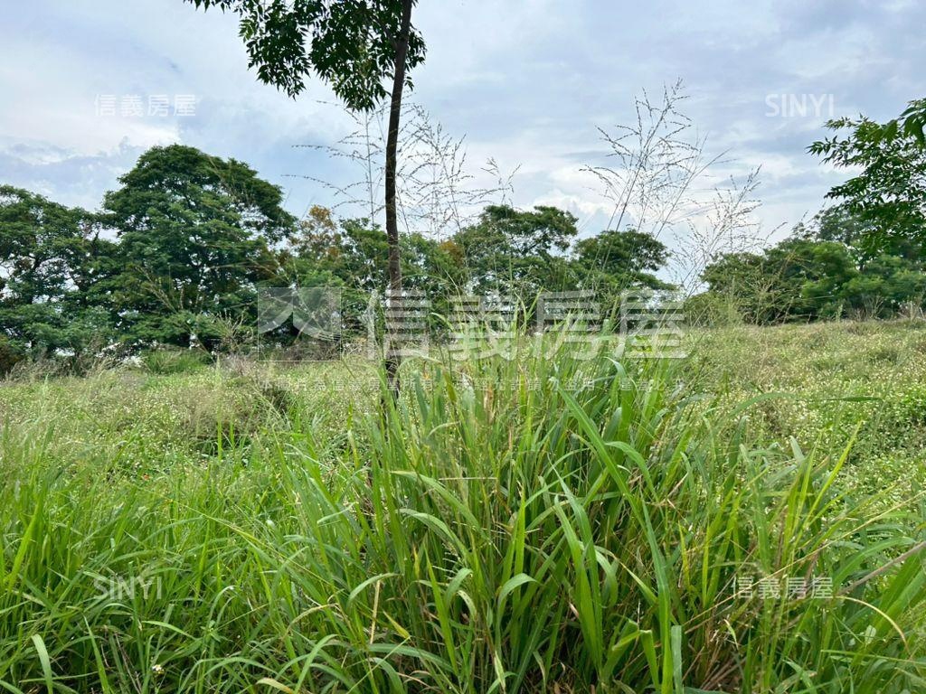 中科興農高爾夫農地房屋室內格局與周邊環境